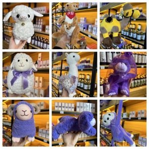 Ours En Peluche Violet En Lavande D’Ili, Xinjiang – Échantillon De Jouet, Sac De Chameau Et Kangourou, Cadeau Pour Enfants Et Petites Amies.  | Jouet En Peluche Pour Enfants Jouet En Peluche Pour Enfants Jouet En Peluche Pour Enfants