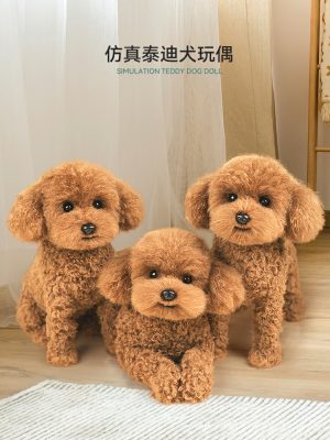 Peluche Chien Teddy Réaliste En Peluche Pour Enfants, Cadeau D’Anniversaire Pour Filles, Chien Poodle En Jouet.  | Jouet En Peluche Pour Enfants Jouet En Peluche Pour Enfants Jouet En Peluche Pour Enfants