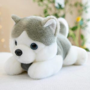 Peluche Husky, Jouet En Peluche Pour Chien, Poupée Pour Garçons Et Filles, Doudou Pour Bébé, Enfant, Figurine De Chien.  | Jouet En Peluche Pour Enfants Jouet En Peluche Pour Enfants Jouet En Peluche Pour Enfants