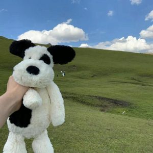 Doudou Chien Dalmatien Pirate – Peluche Douce Pour Enfants – Jouet D’Apaisement – Cadeau D’Anniversaire Pour Filles.  | Jouet De Poupée Pour Enfants Jouet De Poupée Pour Enfants Jouet De Poupée Pour Enfants